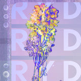 Ryd - Ryd (CD) - Velvet Music
