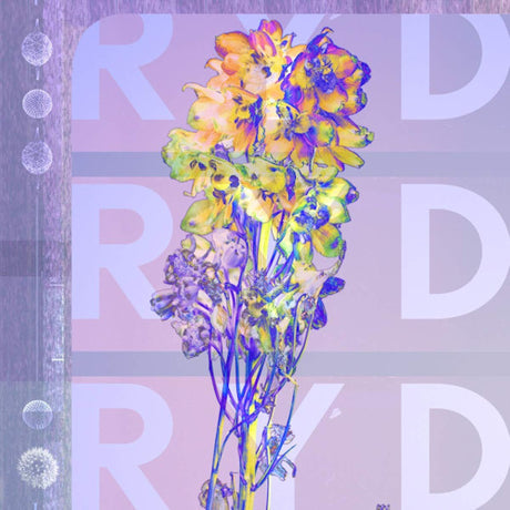 Ryd - Ryd (LP)