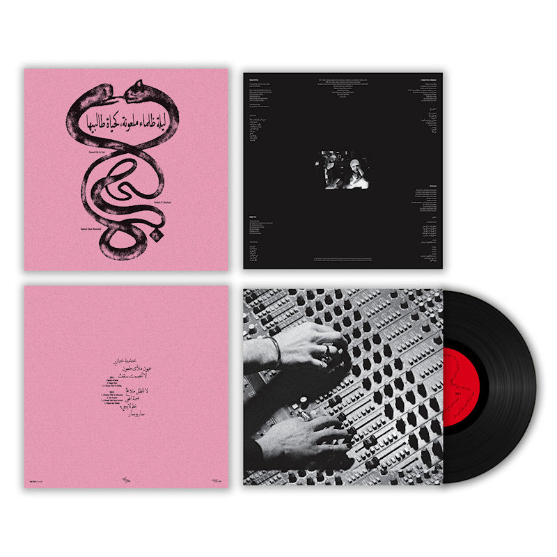 Radwan Ghazi Moumneh & Frederic D. Oberland - Eternal life no end (LP) - Velvet Music