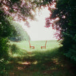 Ratboys - Singin' to an empty chair (CD) - Velvet Music