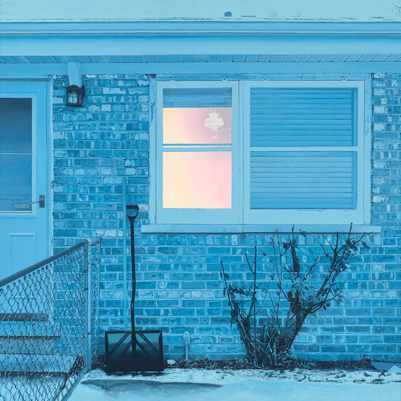 Ratboys - The window (LP)
