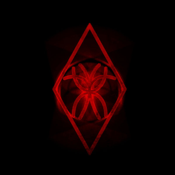 Raum Kingdom - Everything & nothing (LP) - Velvet Music