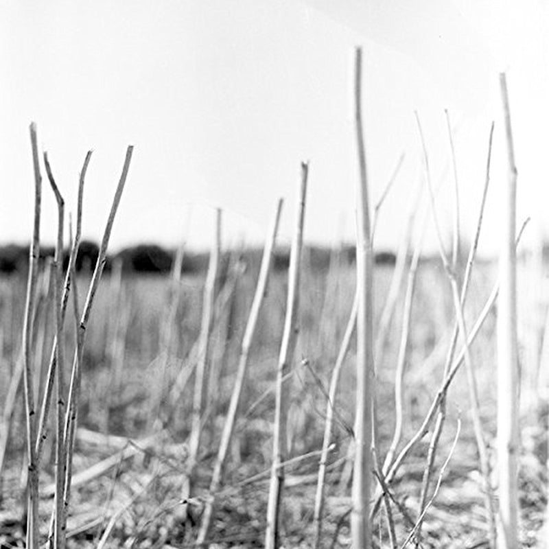 Recondite - On acid (LP) - Velvet Music