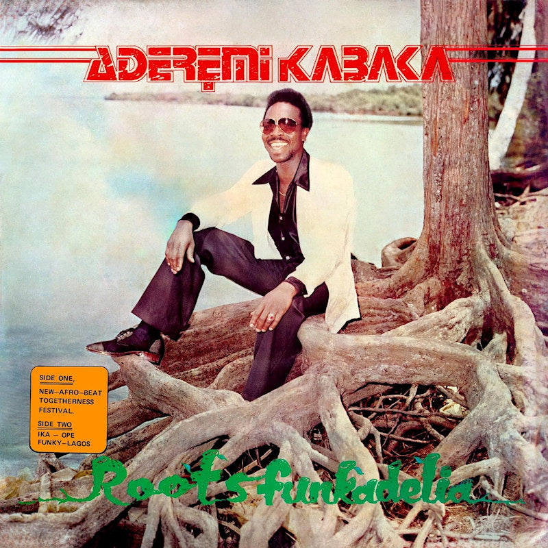 Remi Kabaka - Roots funkadelia (LP) - Velvet Music