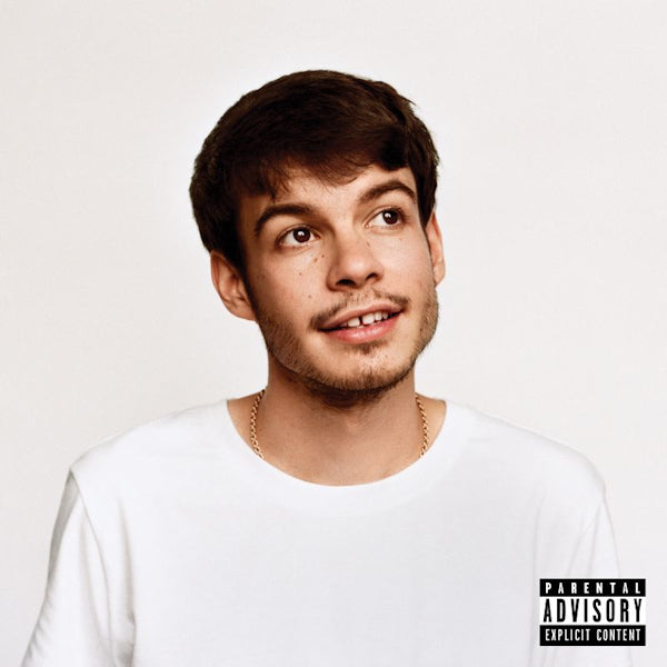 Rex Orange County - Pony (LP) - Velvet Music