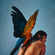 Reyna Tropical - Malegria (LP) - Velvet Music