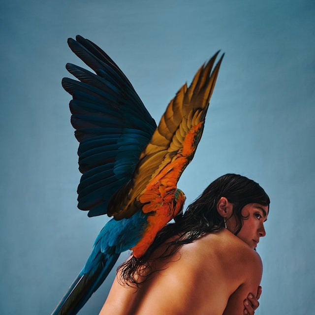 Reyna Tropical - Malegria (LP) - Velvet Music