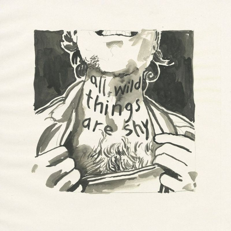 Richard Laviolette - All wild things are shy (LP) - Velvet Music