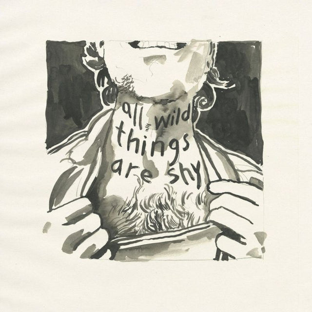 Richard Laviolette - All wild things are shy (LP) - Velvet Music