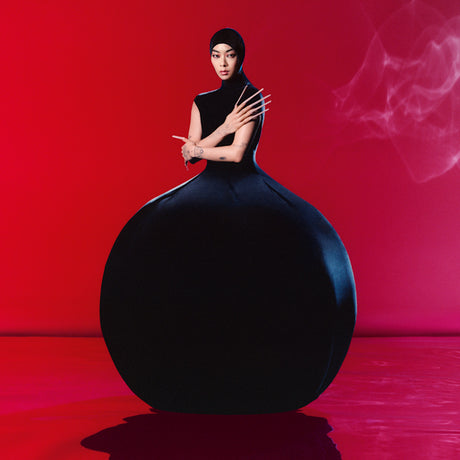 Rina Sawayama - Hold the girl (LP) - Velvet Music