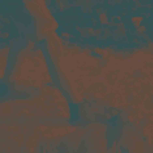 Ritual Howls - Ritual howls (LP) - Velvet Music