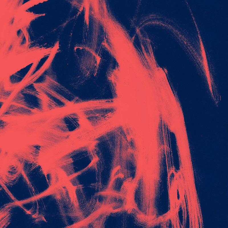 Rival Consoles - Landscape from memory (LP) - Velvet Music