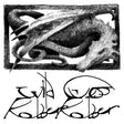 Robber Robber - Wild guess (CD) - Velvet Music
