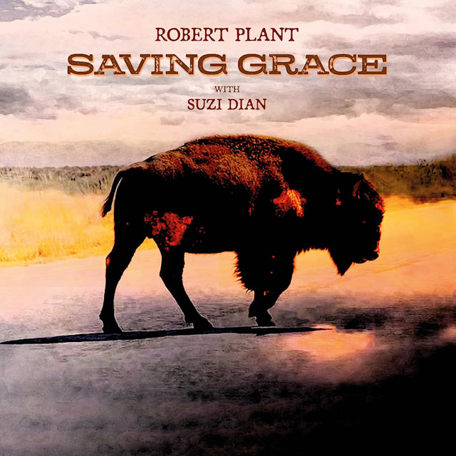 Robert Plant - Saving grace (CD) - Velvet Music