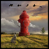Rush - Signals (LP) - Velvet Music