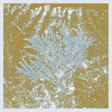 Huerco S. - For those of you who have never (and also those who have) (2025 repress) (LP)