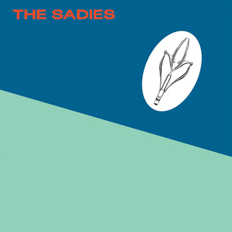 Sadies - Precious moments (CD) - Velvet Music
