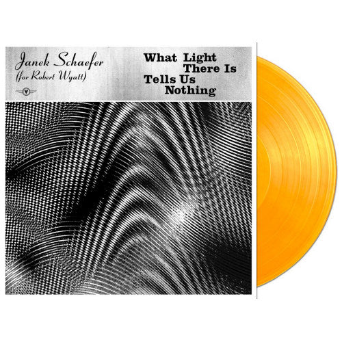 Janek Schaefer - What light there is tells us nothing (LP)