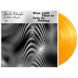 Janek Schaefer - What light there is tells us nothing (LP)