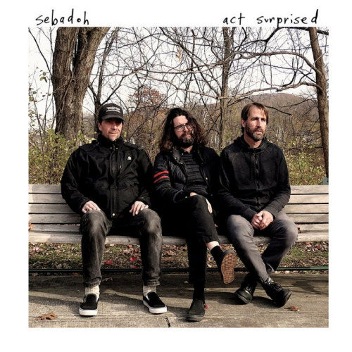 Sebadoh - Act surprised (LP) - Velvet Music