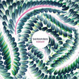 She Keeps Bees - Kinship (LP) - Velvet Music