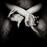 Shining - X - varg utan flock (CD) - Velvet Music