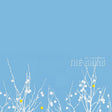 Shins - Oh inverted world (CD)