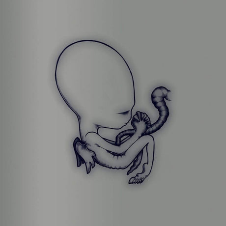 Sigur Ros - Agaetis byrjun (CD)