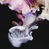 Simian Mobile Disco - Murmurations (LP)