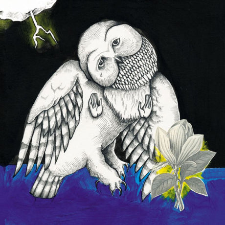 Songs: Ohia - Magnolia electric co (LP) - Velvet Music