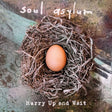 Soul Asylum - Hurry up and wait (CD) - Velvet Music