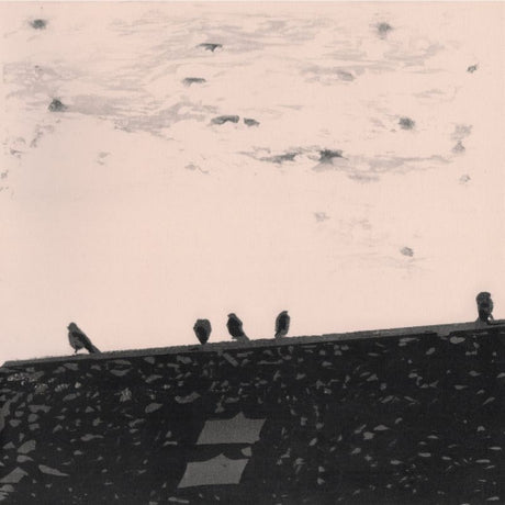 Stuart A. Staples - Arrhythmia (LP) - Velvet Music