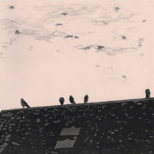 Stuart A. Staples - Arrhythmia (LP) - Velvet Music