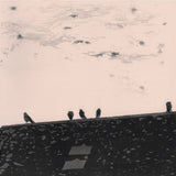 Stuart A. Staples - Arrhythmia (LP) - Velvet Music