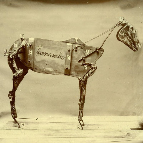 Chadwick Stokes - Horse comanche (CD)
