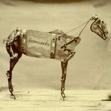 Chadwick Stokes - Horse comanche (CD)