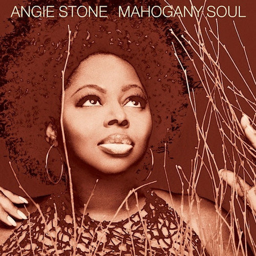 Angie Stone - Mahogany soul (CD) - Velvet Music