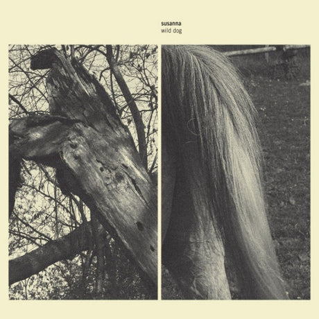 Susanna - Wild Dog (LP)
