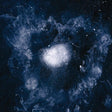 Swans - My father will guide me up a rope (LP) - Velvet Music
