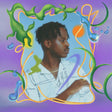 Salute - Shield (12-inch maxi-single) - Velvet Music
