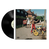 Sam Morton - Daffodils & dirt (LP)