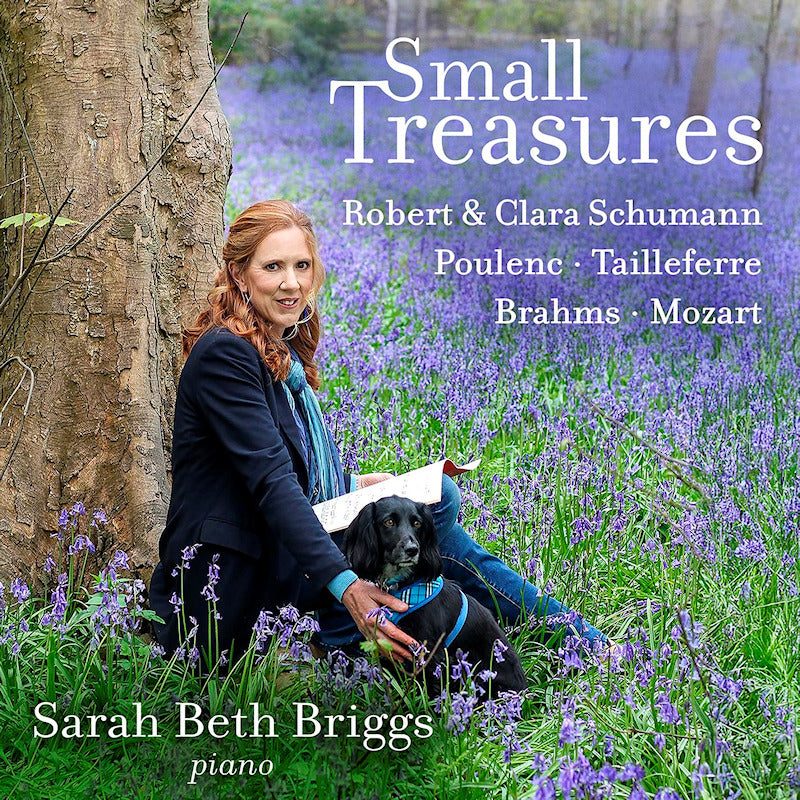 Sarah Beth Briggs - Small treasures (CD)