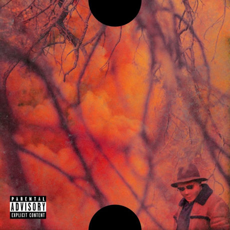 Schoolboy Q - Blank face lp (CD) - Velvet Music