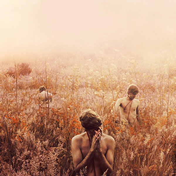Sebastian Plano - Arrhythmical part of hearts (LP)
