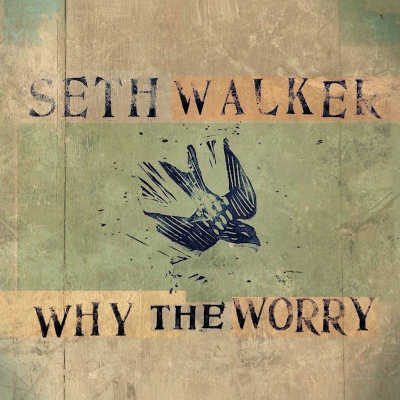 Seth Walker (3) - Why The Worry (CD)