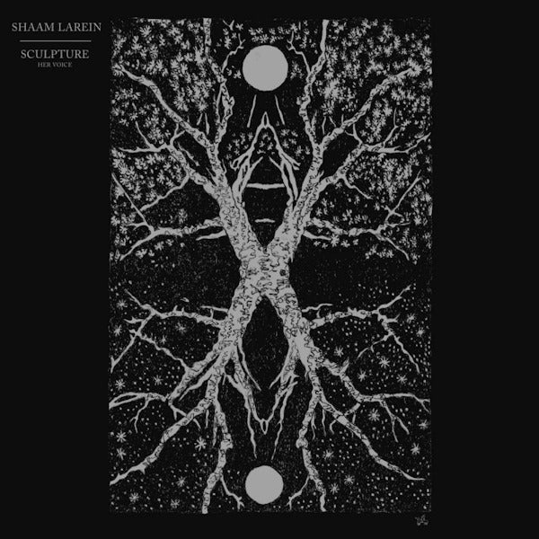 Shaam Larein - Sculpture (LP)