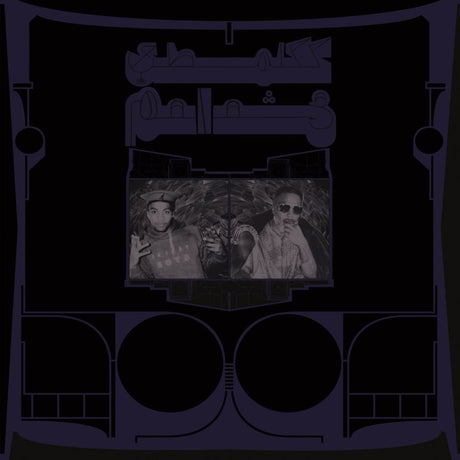 Shabazz Palaces - Exotic birds of prey (CD) - Velvet Music