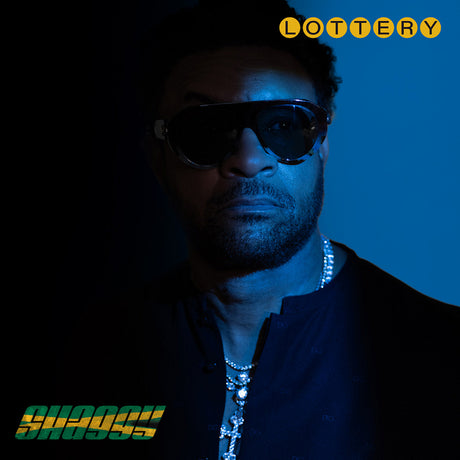 Shaggy - Lottery (LP) - Velvet Music