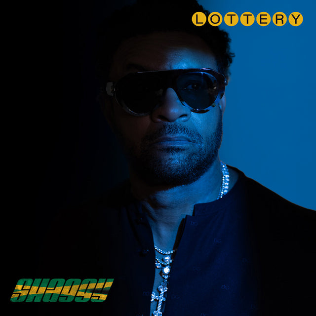 Shaggy - Lottery (LP) - Velvet Music