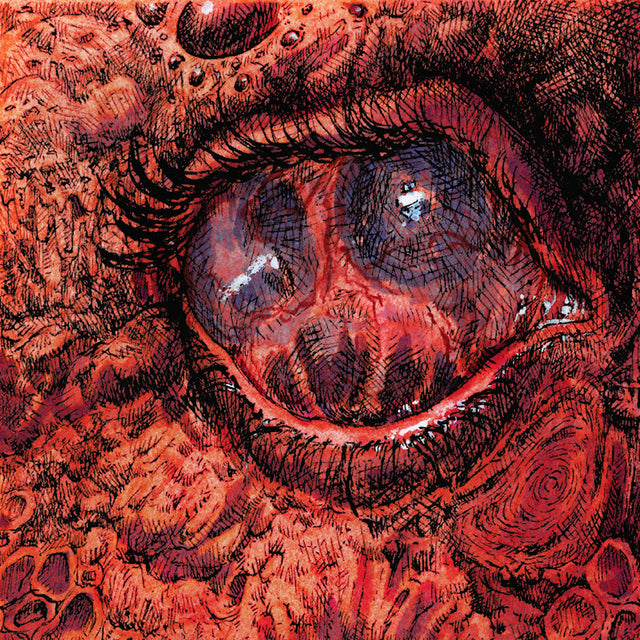 Shardik - Cruelty bacchanal (CD) - Velvet Music